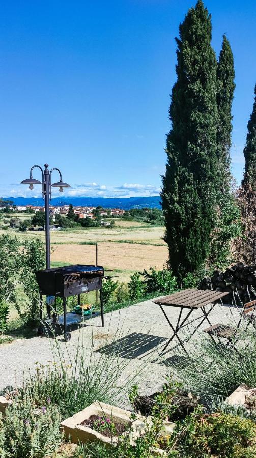 The Olive Grove In Tuscany Toiano Экстерьер фото