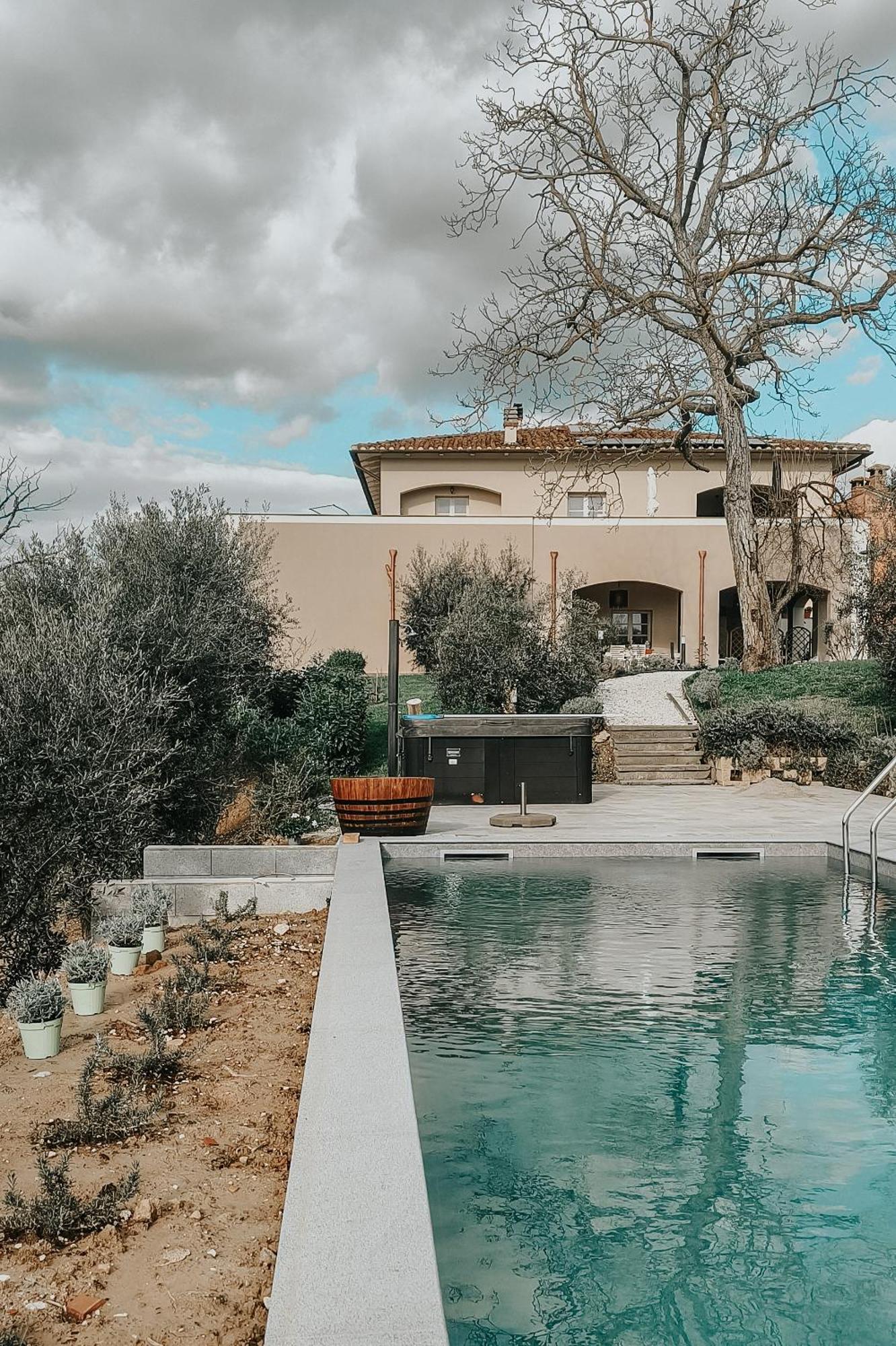 The Olive Grove In Tuscany Toiano Экстерьер фото